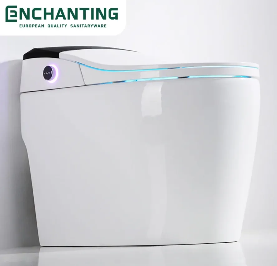 Smart Toilet Europe E010