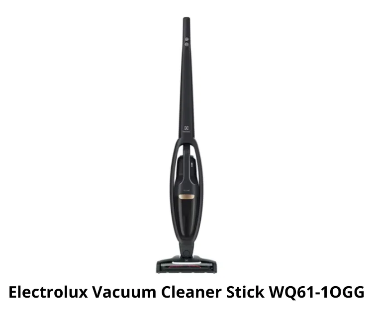 Vacuum Cleaner Stick WQ61-1OGG