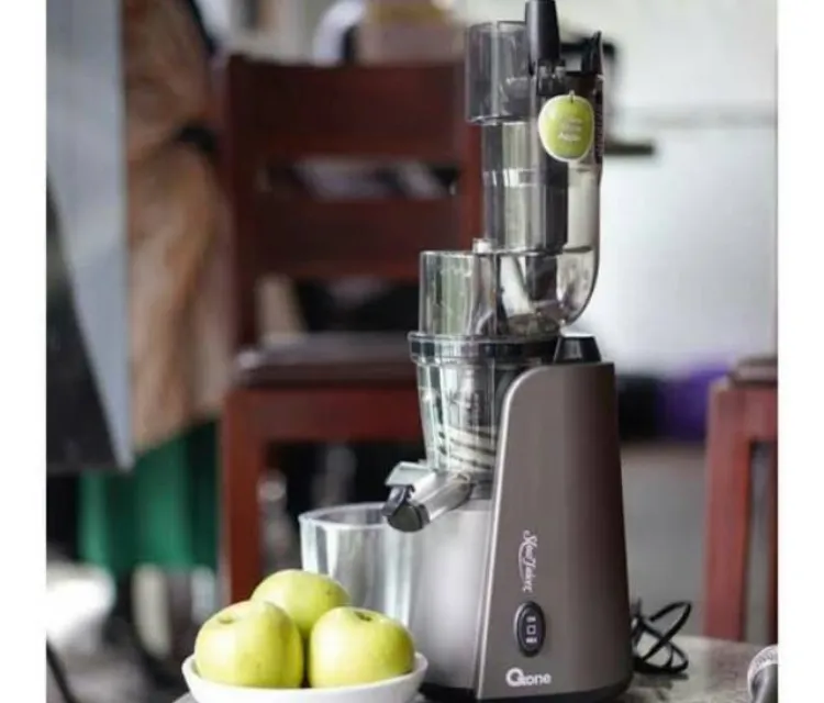 OXONE Classic Slow Juicer OX-874